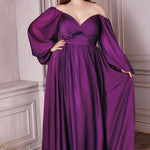 Long Sleeve A-Line Chiffon Dress-1