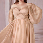 Long Sleeve A-Line Chiffon Dress-3